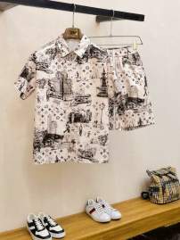 Picture of LV Shirt Pant Suits _SKULVM-3XL13gr12622914